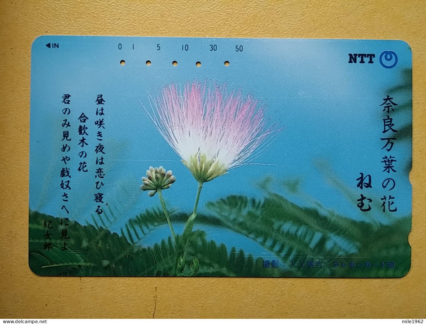 T-386 - JAPAN, Japon, Nipon, TELECARD, PHONECARD, Flower, Fleur, NTT 331-249 - Flores