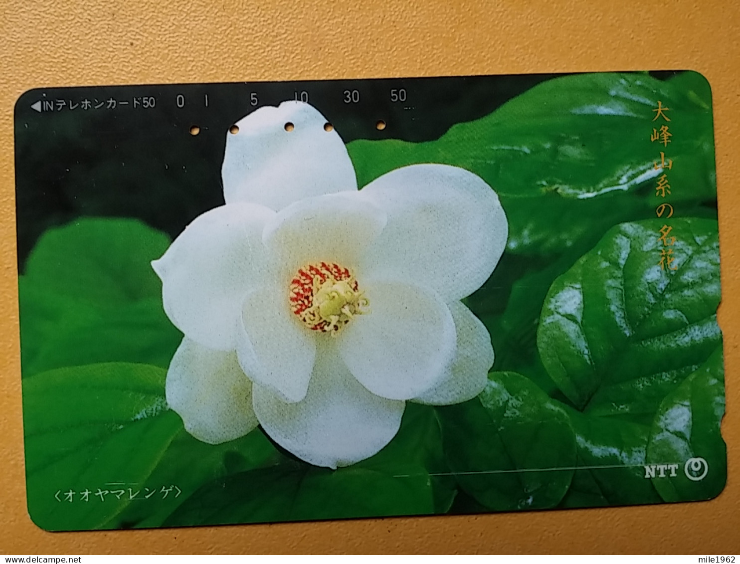 T-386 - JAPAN, Japon, Nipon, TELECARD, PHONECARD, Flower, Fleur, NTT 331-428 - Fleurs