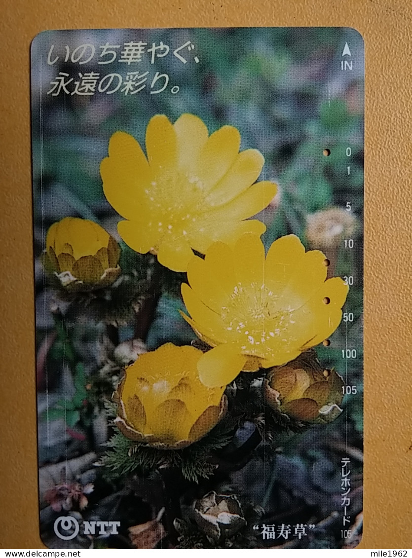 T-386 - JAPAN, Japon, Nipon, TELECARD, PHONECARD, Flower, Fleur, NTT 331-472 - Flowers