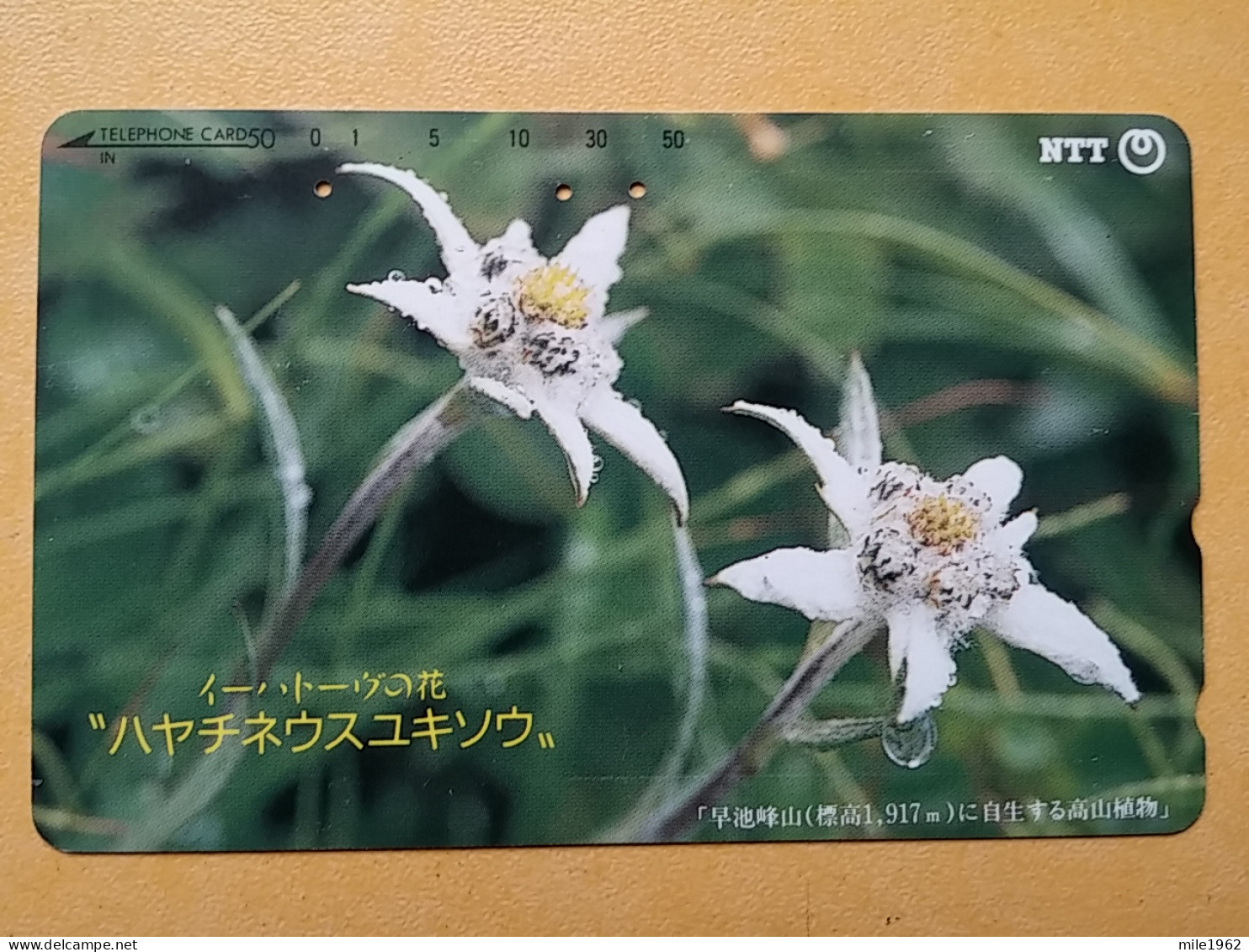 T-386 - JAPAN, Japon, Nipon, TELECARD, PHONECARD, Flower, Fleur, NTT 411-206 - Bloemen