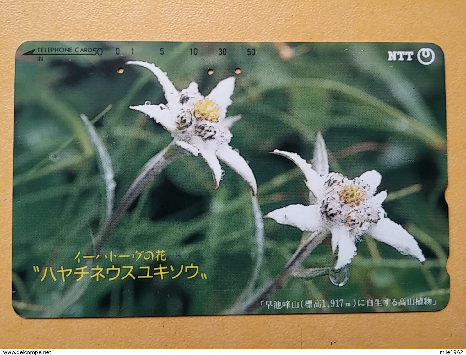 T-386 - JAPAN, Japon, Nipon, TELECARD, PHONECARD, Flower, Fleur, NTT 411-206 - Blumen