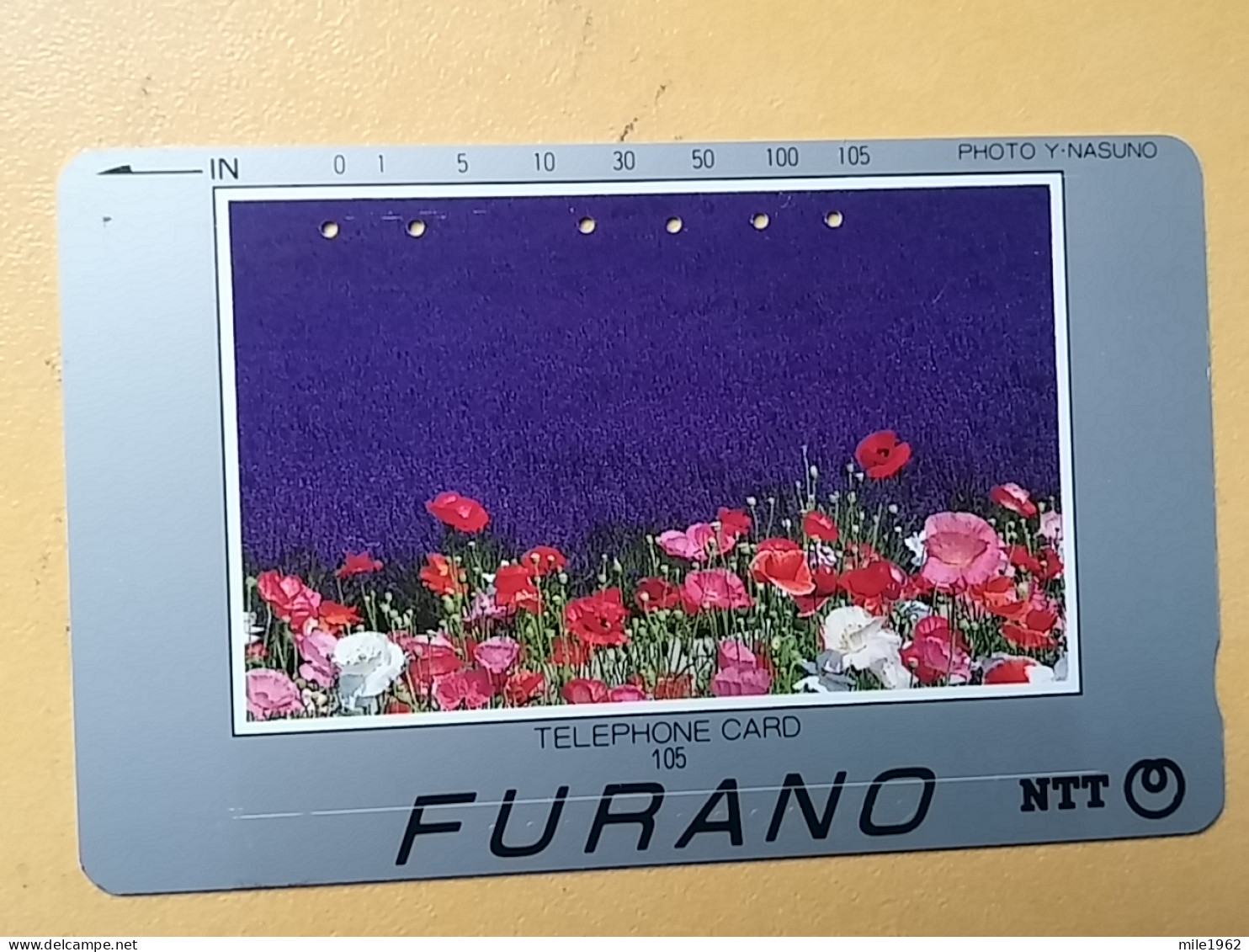 T-386 - JAPAN, Japon, Nipon, TELECARD, PHONECARD, Flower, Fleur, NTT 430-226 - Fleurs