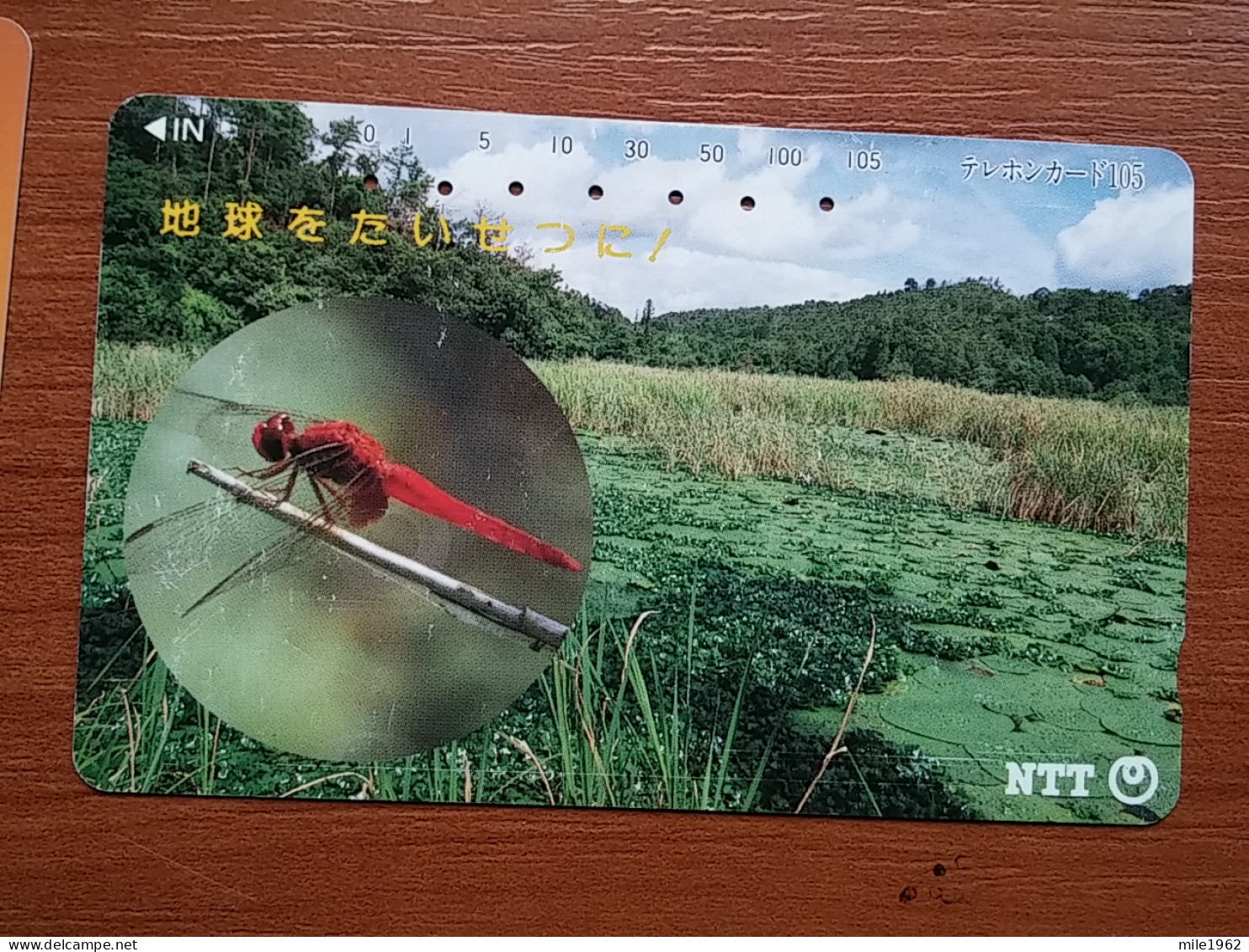 T-388 - JAPAN, Japon, Nipon, TELECARD, PHONECARD,  NTT 291-183, INSECT - Autres & Non Classés