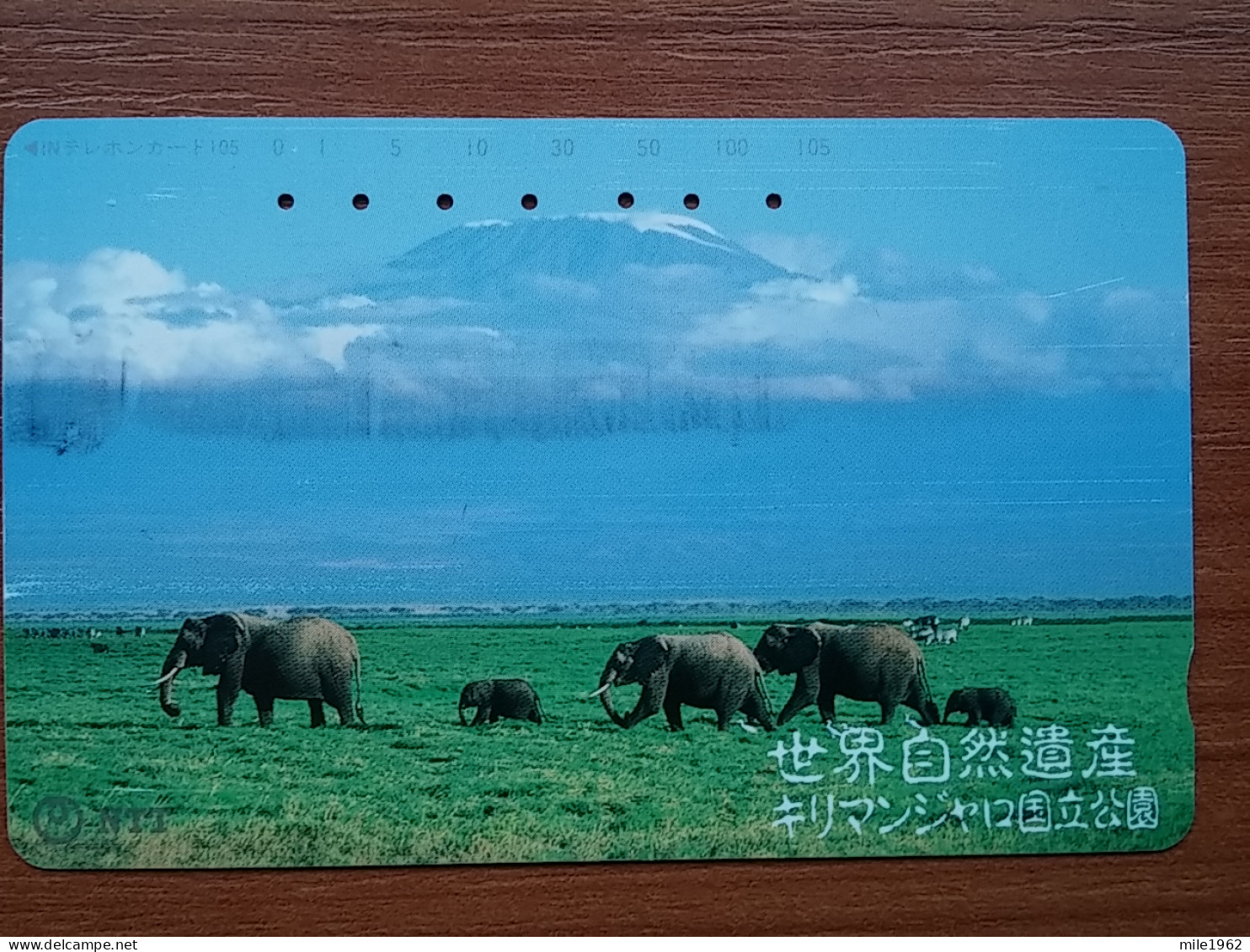 T-390 - JAPAN, Japon, Nipon, TELECARD, PHONECARD, ELEPHANT, NTT 331-460 - Jungle
