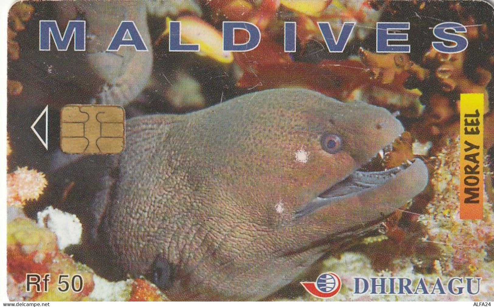 PHONE CARD MALDIVE  (E35.28.6 - Maldiven