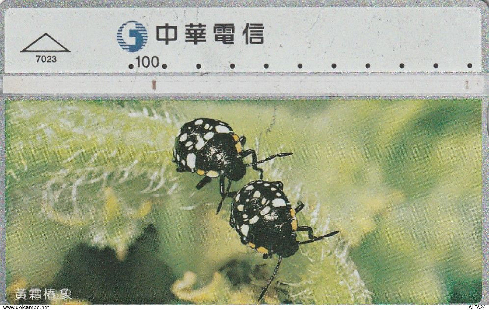 PHONE CARD TAIWAN  (E35.10.8 - Taiwan (Formosa)