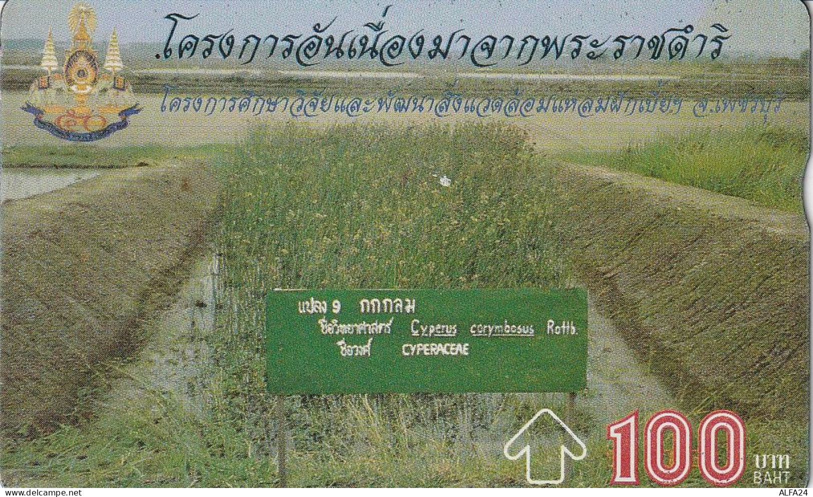 PHONE CARD TAILANDIA  (E34.9.5 - Thailand