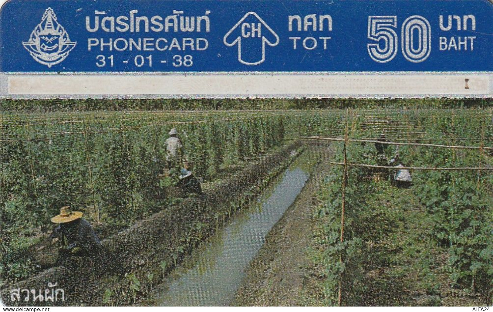 PHONE CARD TAILANDIA  (E30.18.4 - Thailand