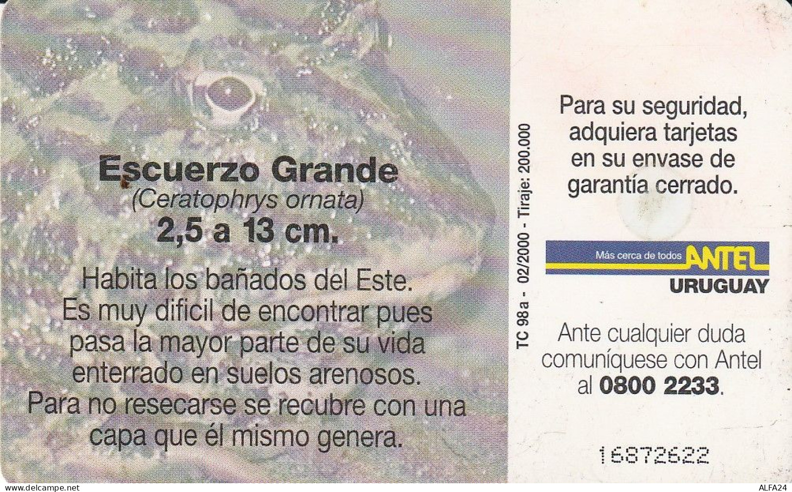 PHONE CARD URUGUAY  (E30.12.7 - Uruguay