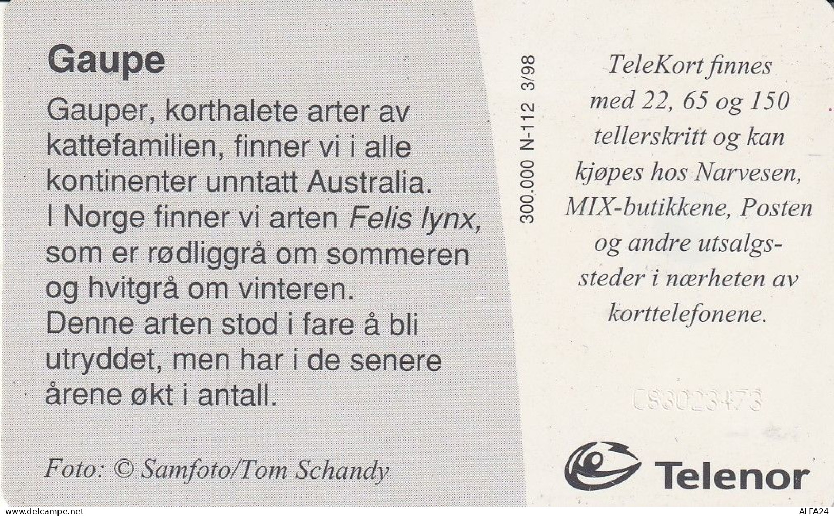 PHONE CARD NORVEGIA  (E23.25.3 - Norway