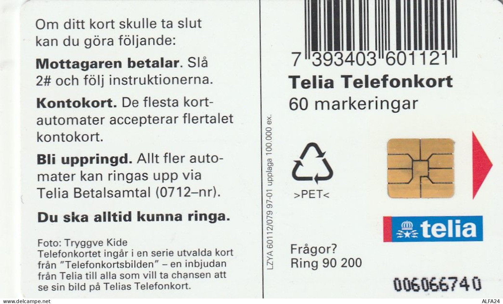 PHONE CARD SVEZIA  (E23.19.4 - Schweden