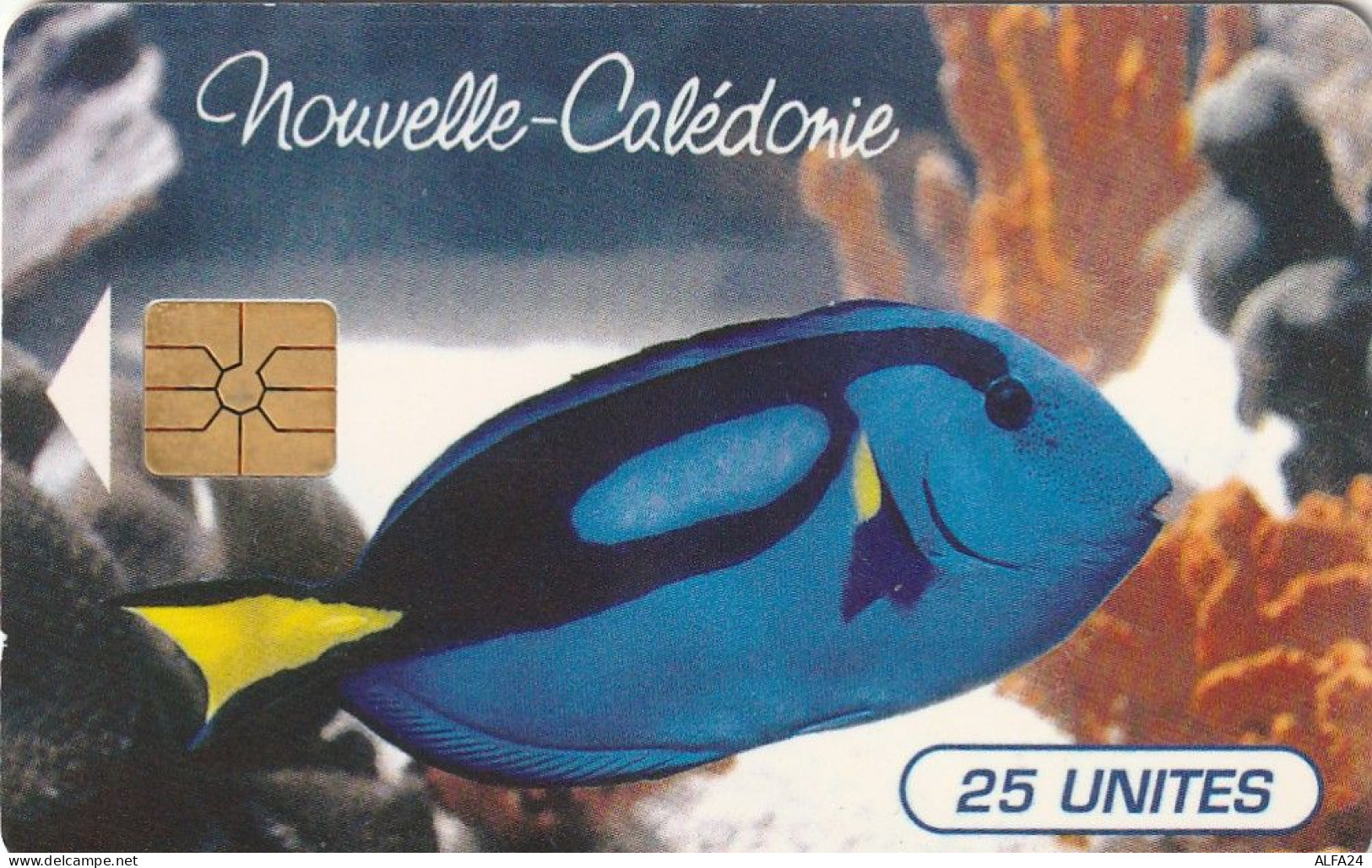 PHONE CARD NUOVA CALEDONIA  (E73.36.6 - New Caledonia