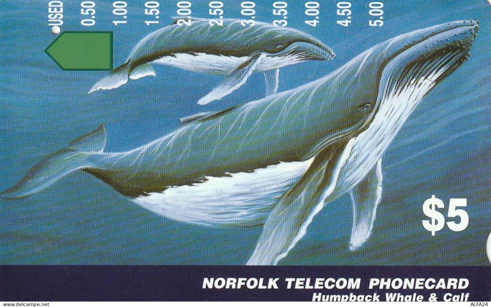PHONE CARD ISOLE NORFOLK  (E73.31.6 - Norfolk Eiland