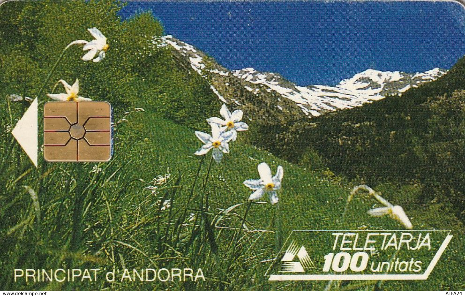 PHONE CARD ANDORRA  (E73.27.7 - Andorra