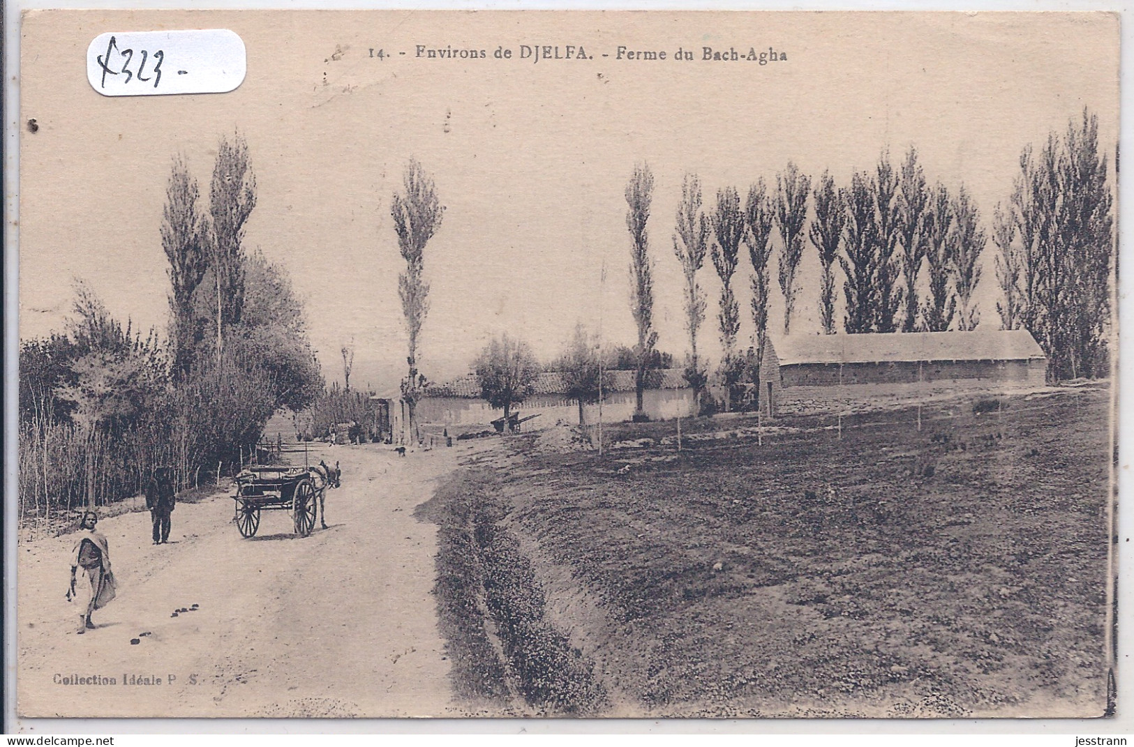 BACH-AGHA- LA FERME- ENVIRONS DE DJELFA - Djelfa