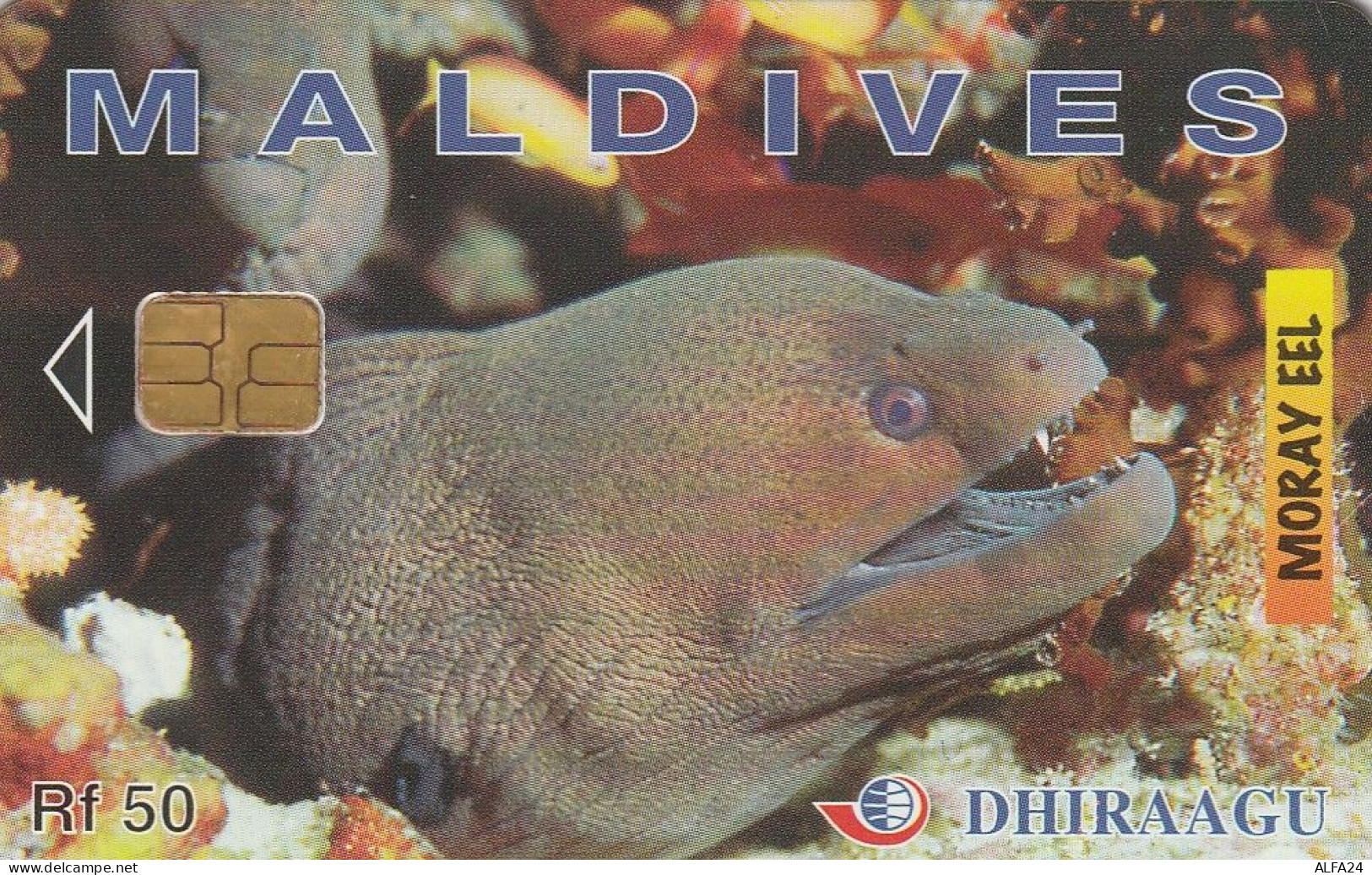 PHONE CARD MALDIVE  (E83.34.6 - Maldive