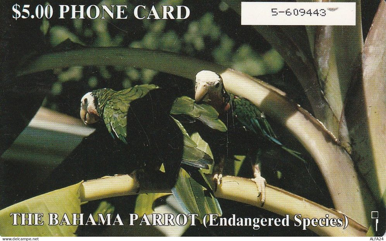 PHONE CARD BAHAMAS  (E81.6.4 - Bahamas