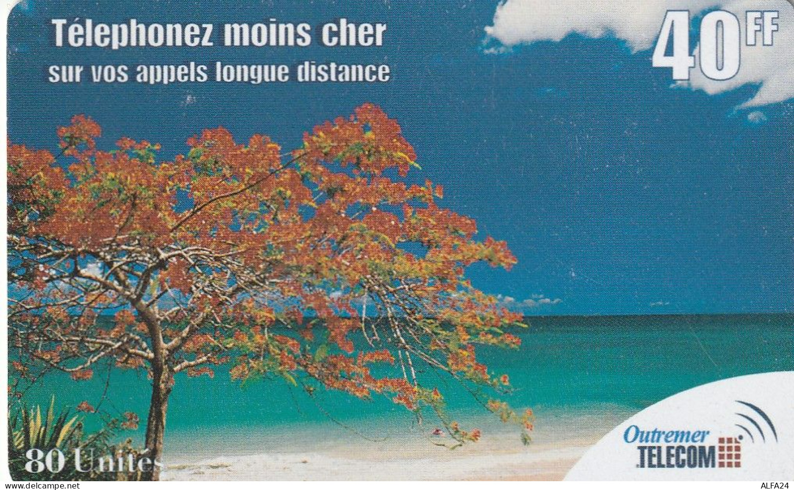 PREPAID PHONE CARD ANTILLE FRANCESI  (E80.15.2 - Antilles (French)