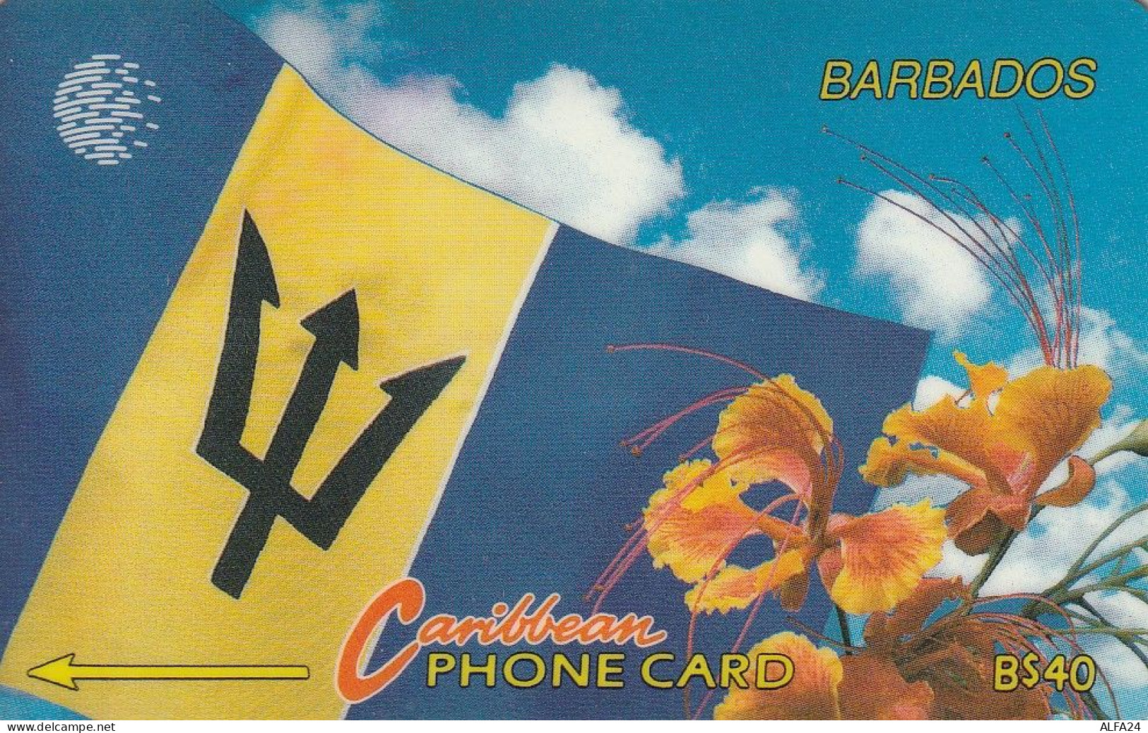 PHONE CARD BARBADOS  (E77.42.1 - Barbados (Barbuda)