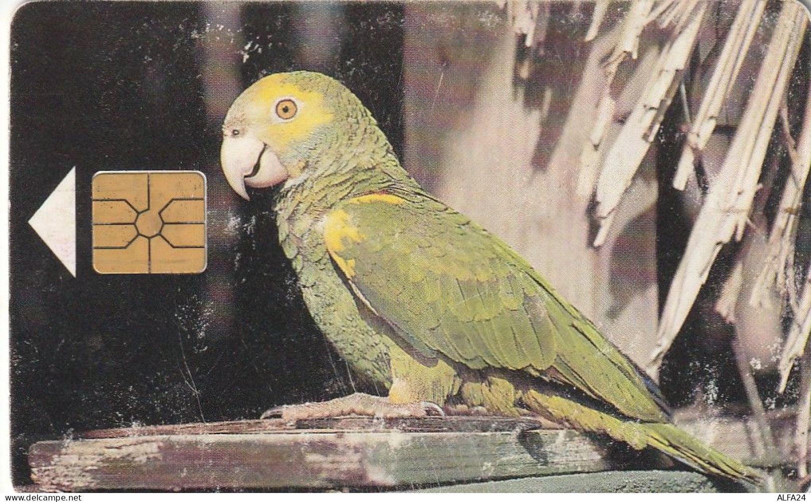 PHONE CARD ANTILLE OLANDESI BONAIRE (E77.43.1 - Antilles (Netherlands)