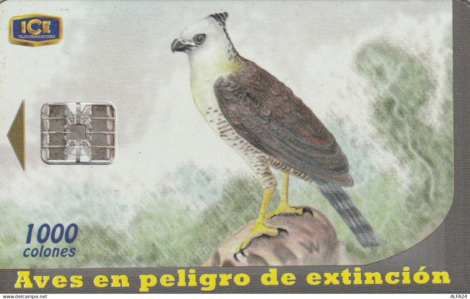 PHONE CARD COSTARICA  (E77.18.3 - Costa Rica
