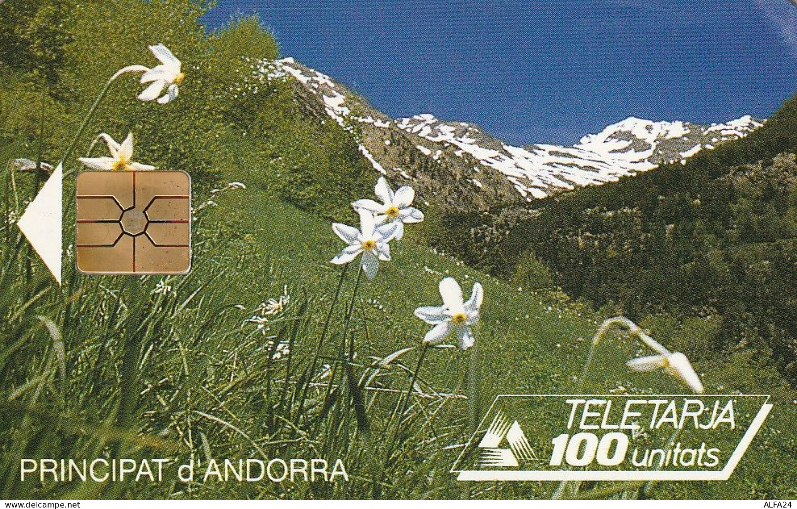 PHONE CARD ANDORRA  (E77.16.7 - Andorre