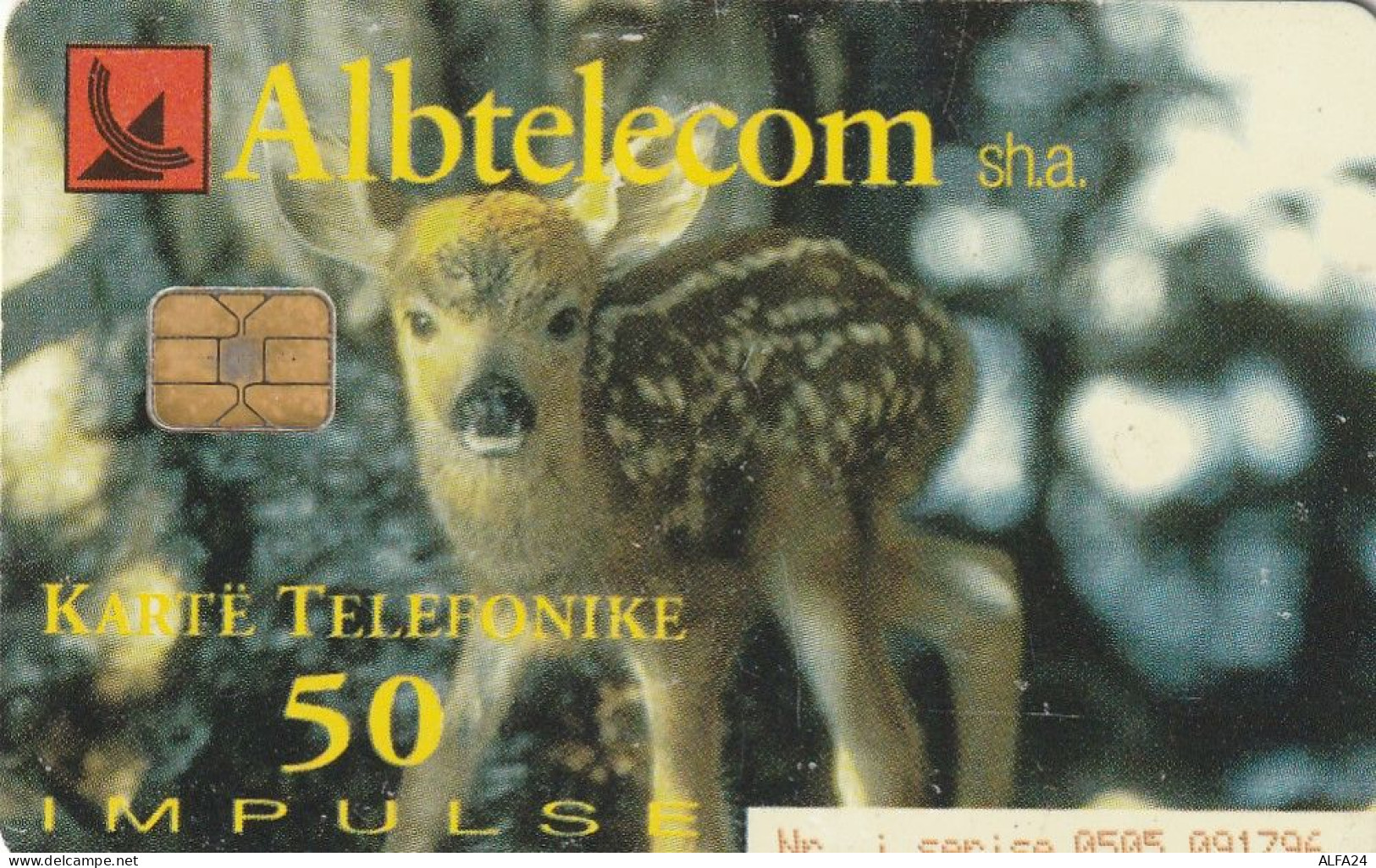 PHONE CARD ALBANIA  (E77.13.1 - Albanien