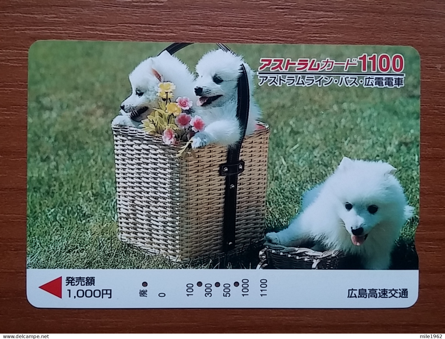 T-398 - JAPAN, Japon, Nipon, Carte Prepayee, Prepaid Card, Dog, Chien - Dogs