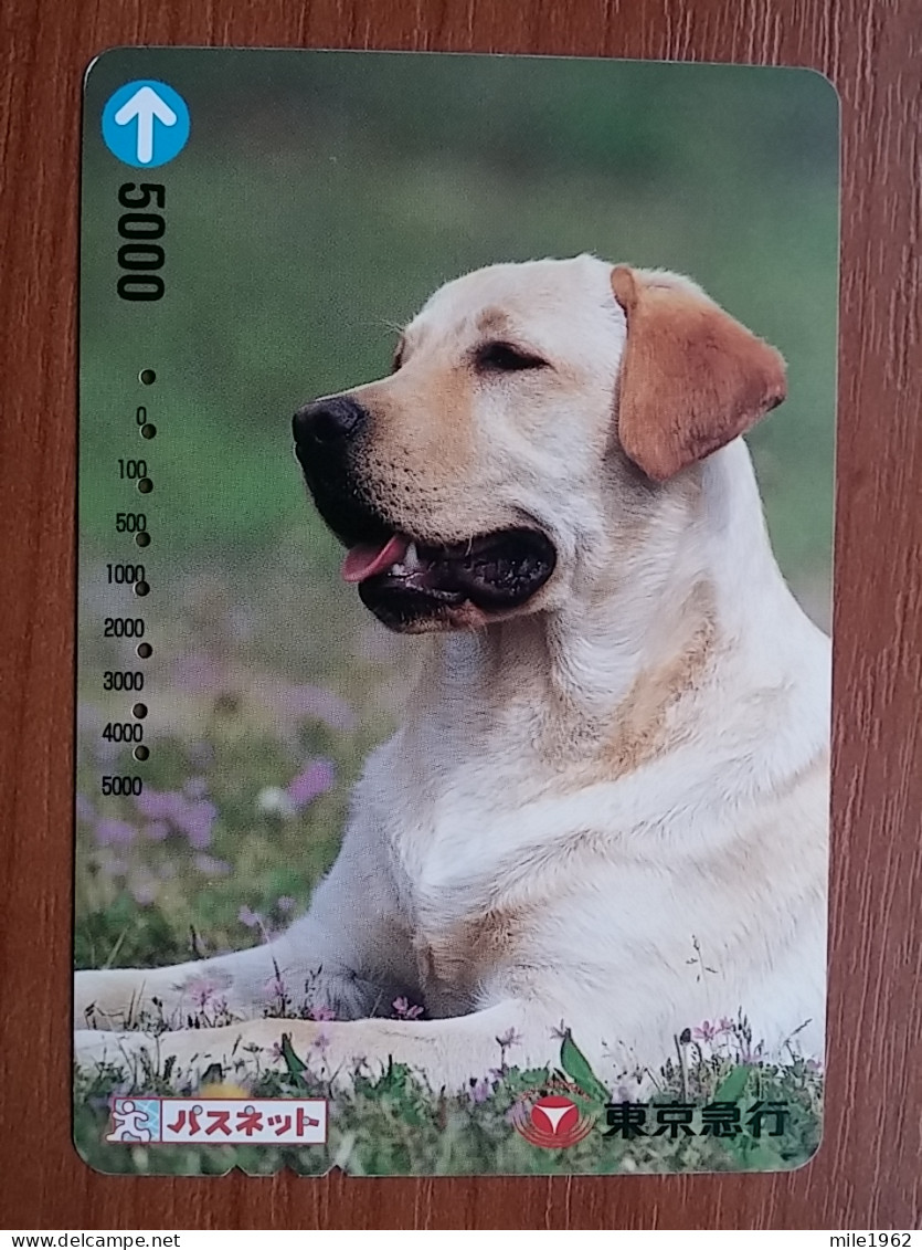 T-398 - JAPAN, Japon, Nipon, Carte Prepayee, Prepaid Card, Dog, Chien - Chiens