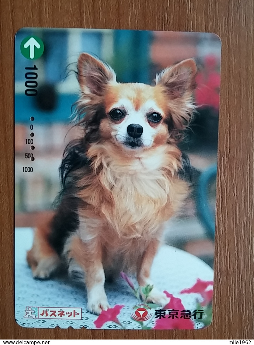 T-398 - JAPAN, Japon, Nipon, Carte Prepayee, Prepaid Card, Dog, Chien - Chiens