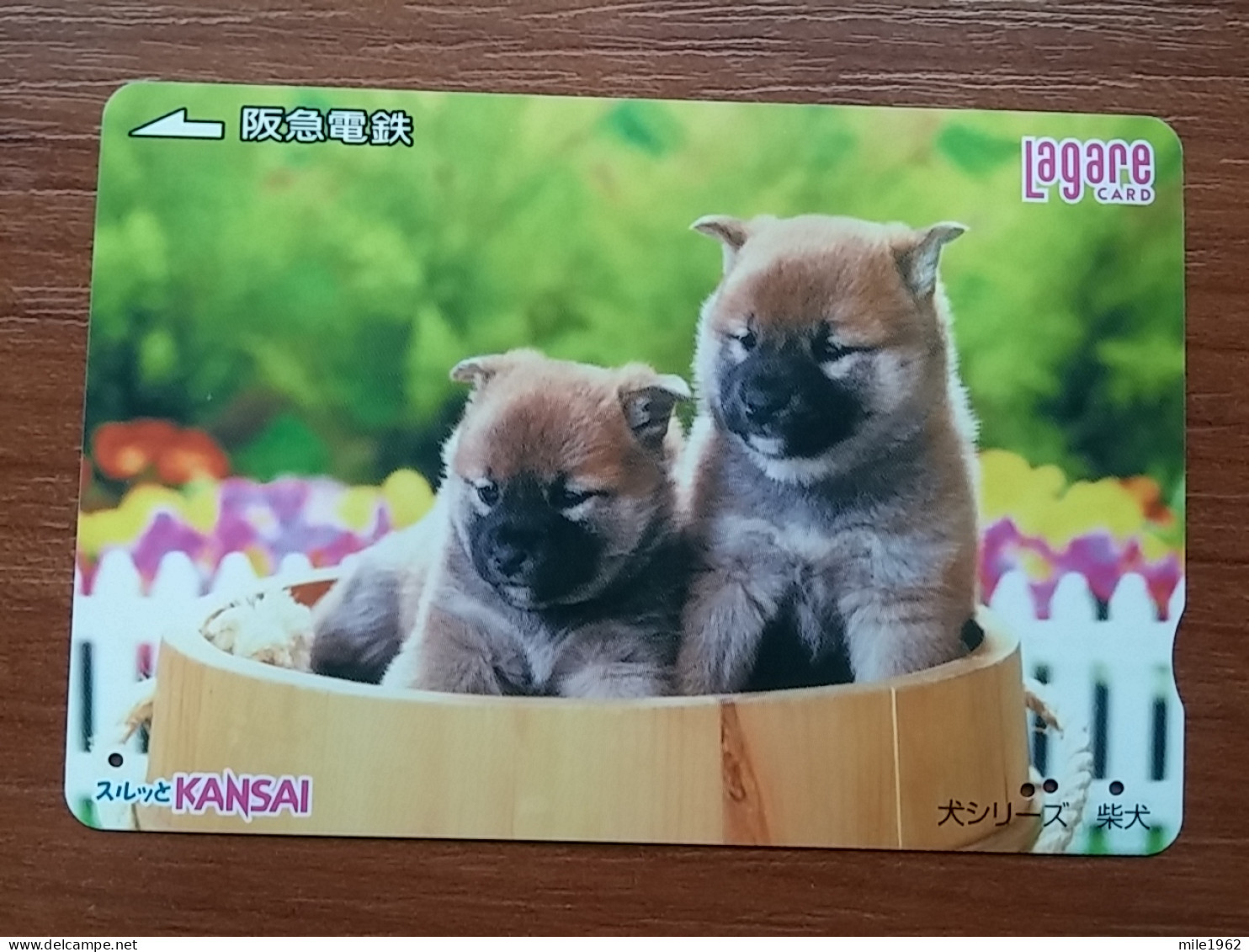 T-398 - JAPAN, Japon, Nipon, Carte Prepayee, Prepaid Card, Dog, Chien - Honden