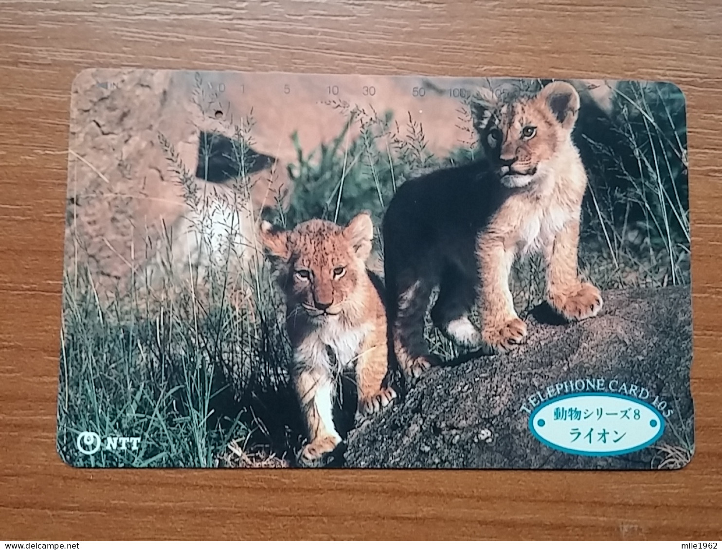 T-398 - JAPAN, Japon, Nipon, TELECARD, PHONECARD, NTT 231-157, Lion - Jungle