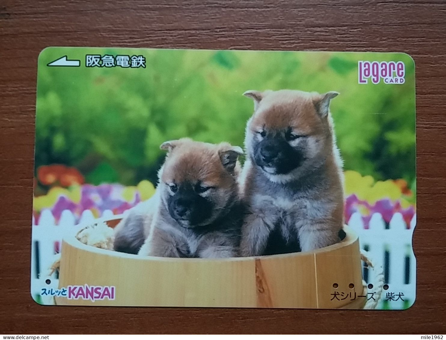 T-399 - JAPAN, Japon, Nipon, Carte Prepayee, Prepaid Card, Dog, Chien - Chiens