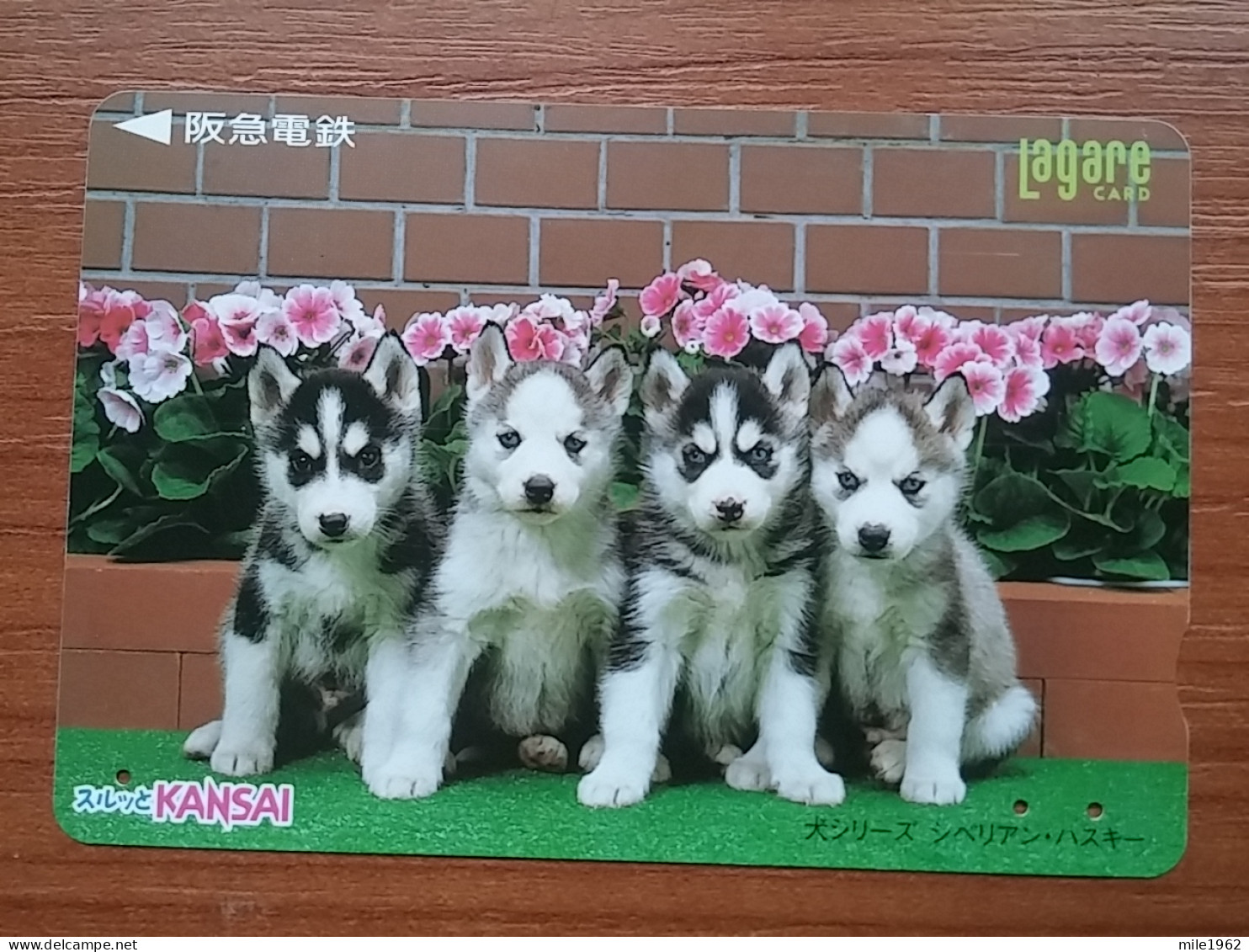 T-399 - JAPAN, Japon, Nipon, Carte Prepayee, Prepaid Card, Dog, Chien - Dogs