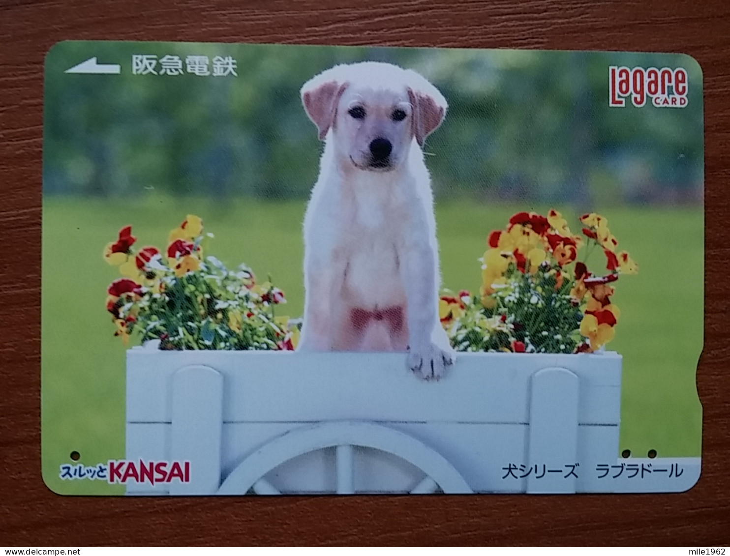 T-399 - JAPAN, Japon, Nipon, Carte Prepayee, Prepaid Card, Dog, Chien - Chiens