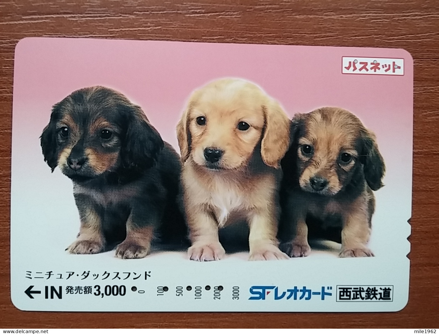 T-399 - JAPAN, Japon, Nipon, Carte Prepayee, Prepaid Card, Dog, Chien - Dogs