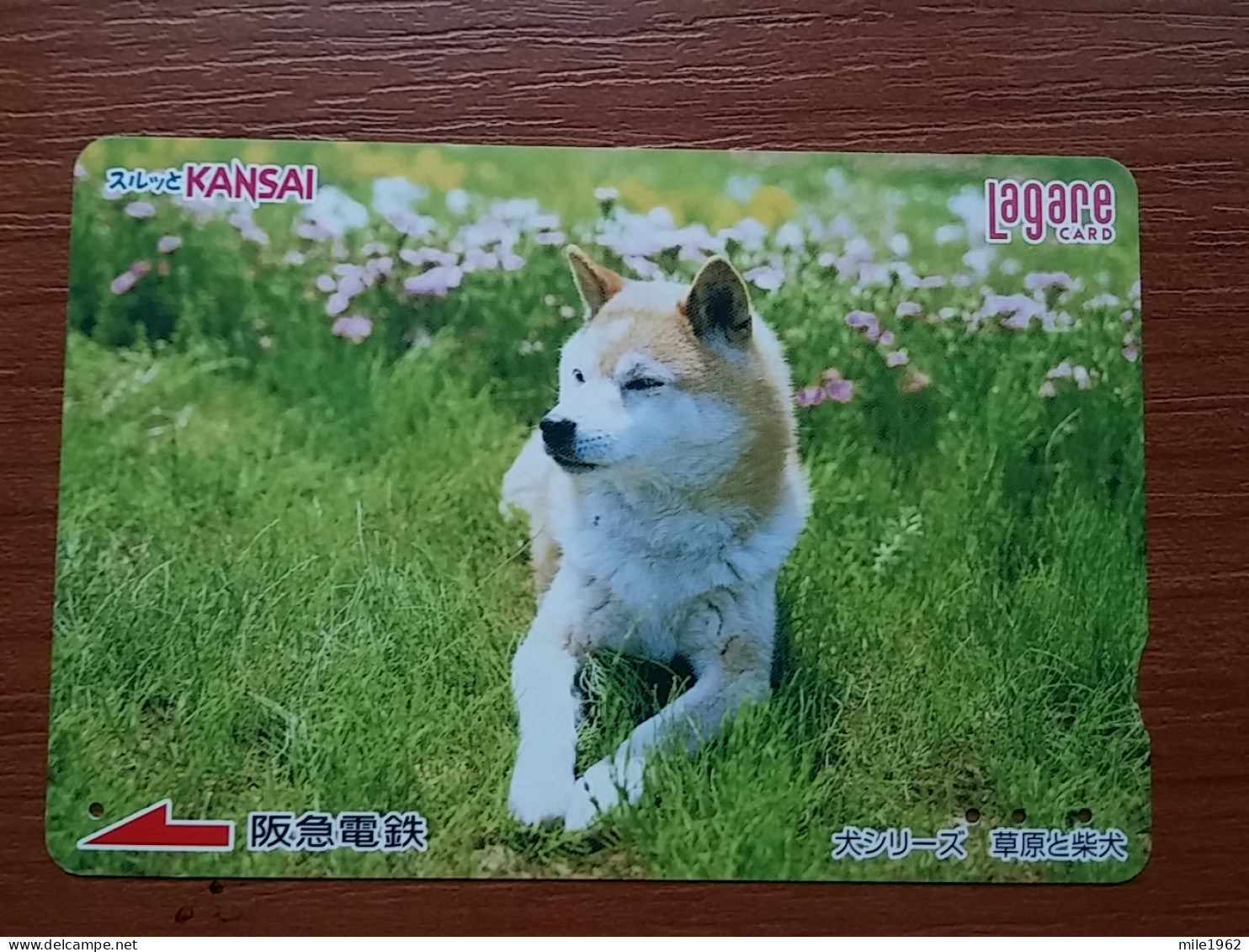 T-399 - JAPAN, Japon, Nipon, Carte Prepayee, Prepaid Card, Dog, Chien - Dogs