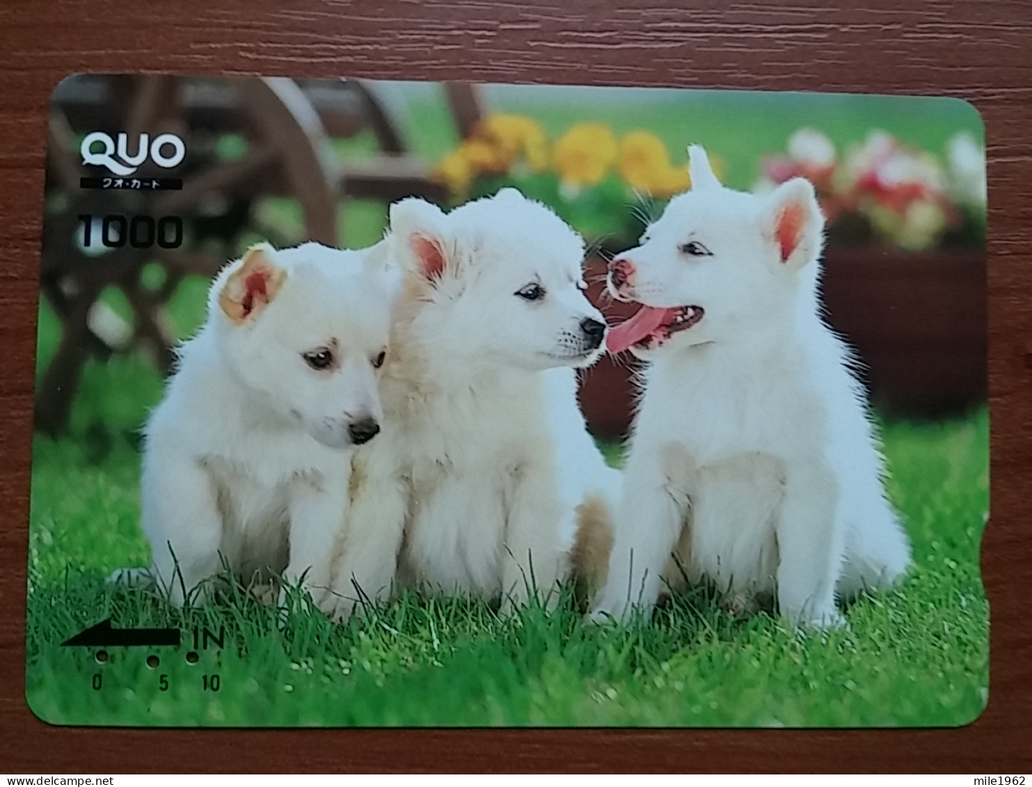 T-399 - JAPAN, Japon, Nipon, Carte Prepayee, Prepaid Card, Dog, Chien - Chiens