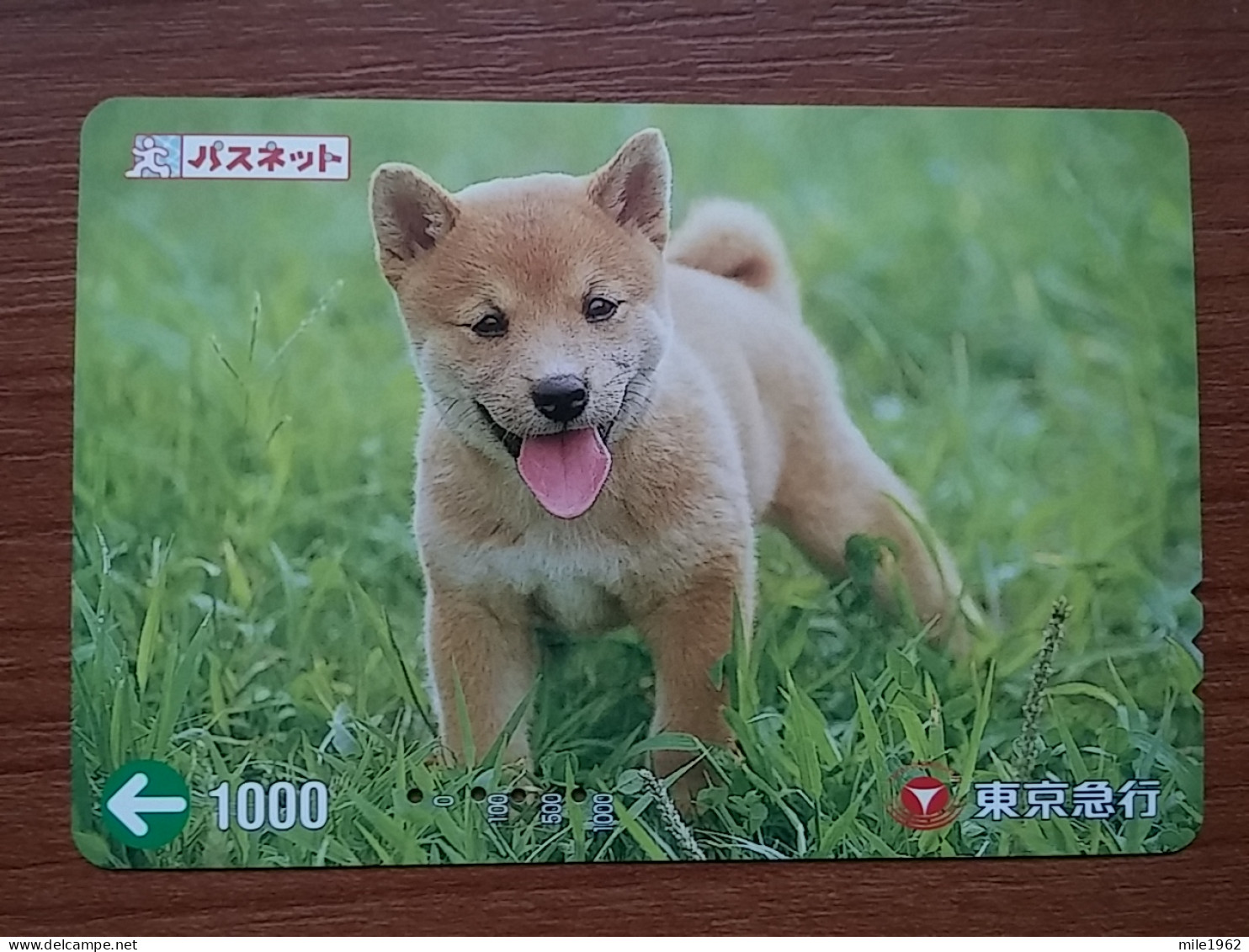 T-399 - JAPAN, Japon, Nipon, Carte Prepayee, Prepaid Card, Dog, Chien - Honden