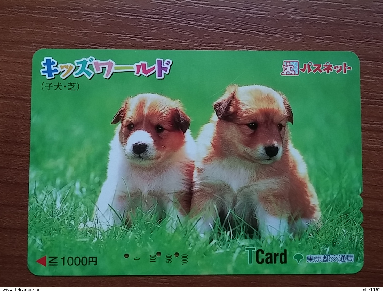 T-399 - JAPAN, Japon, Nipon, Carte Prepayee, Prepaid Card, Dog, Chien, - Hunde