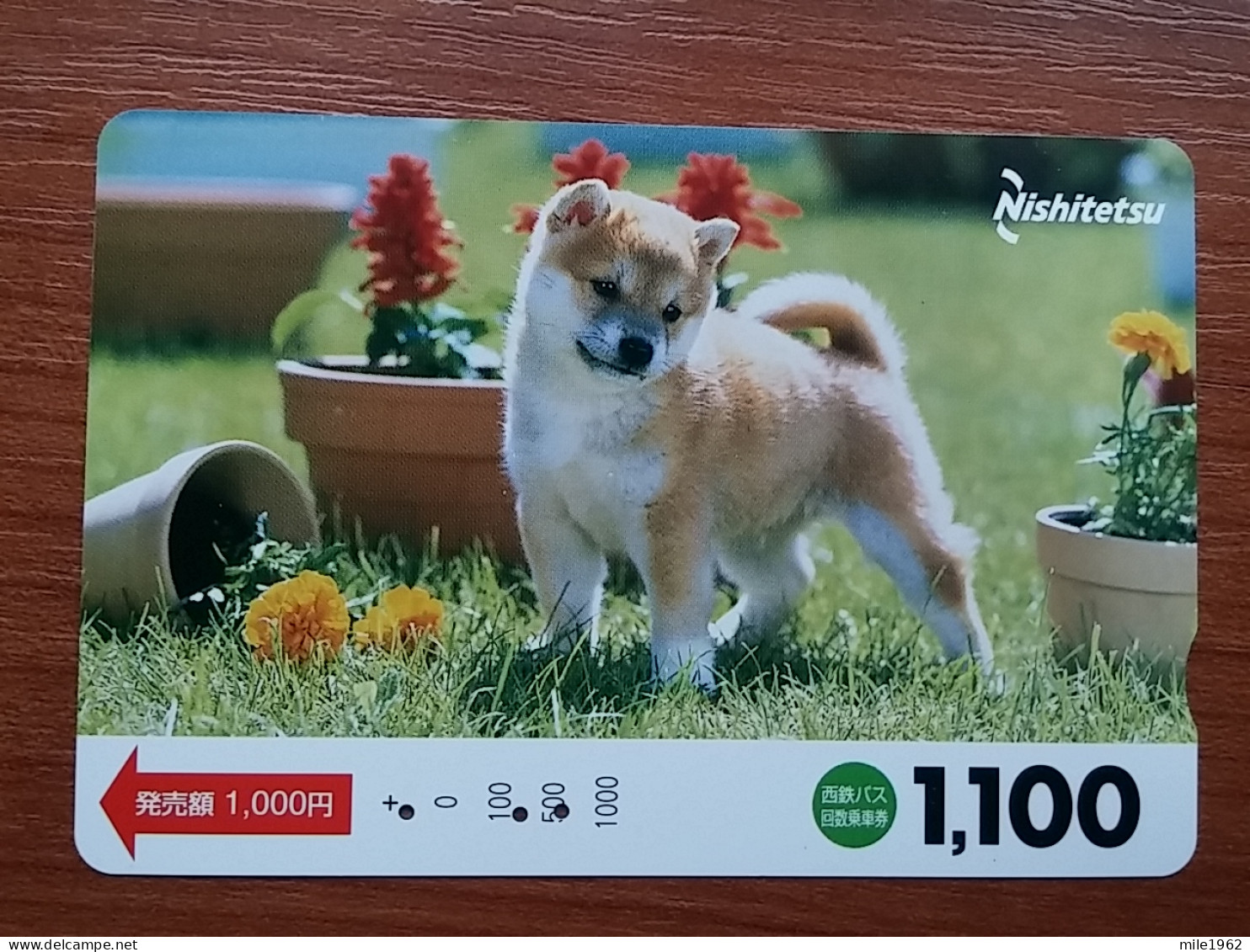 T-400 - JAPAN, Japon, Nipon, Carte Prepayee, Prepaid Card, Dog, Chien,  - Hunde