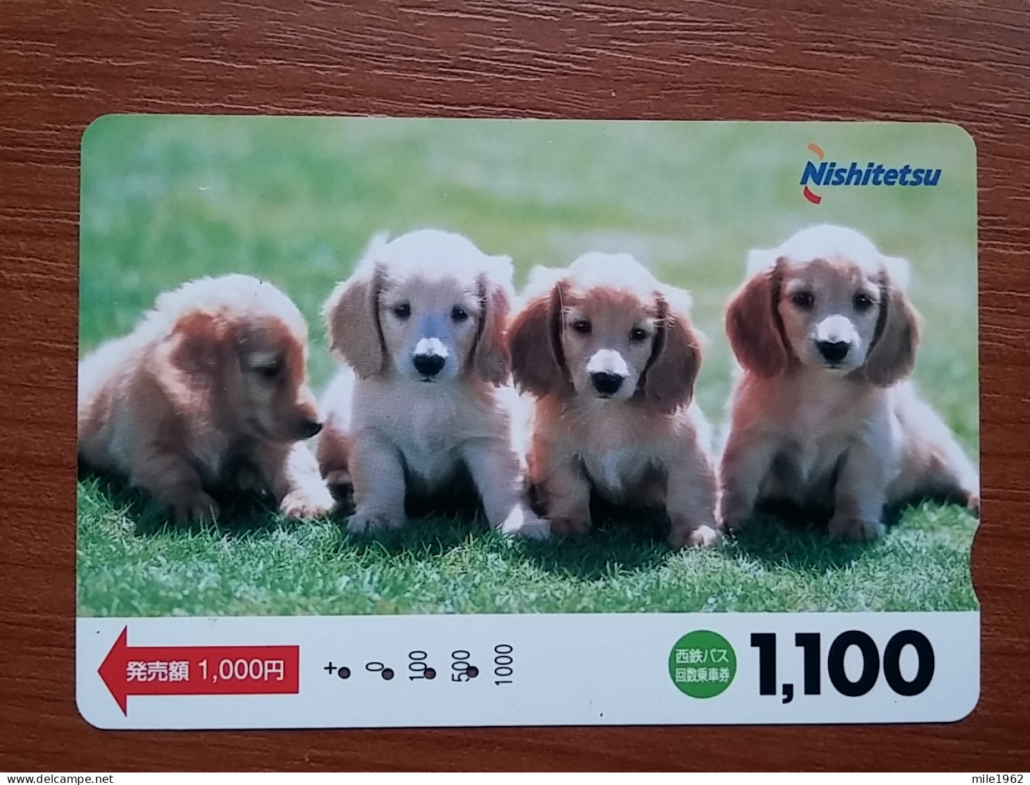 T-400 - JAPAN, Japon, Nipon, Carte Prepayee, Prepaid Card, Dog, Chien,  - Cani