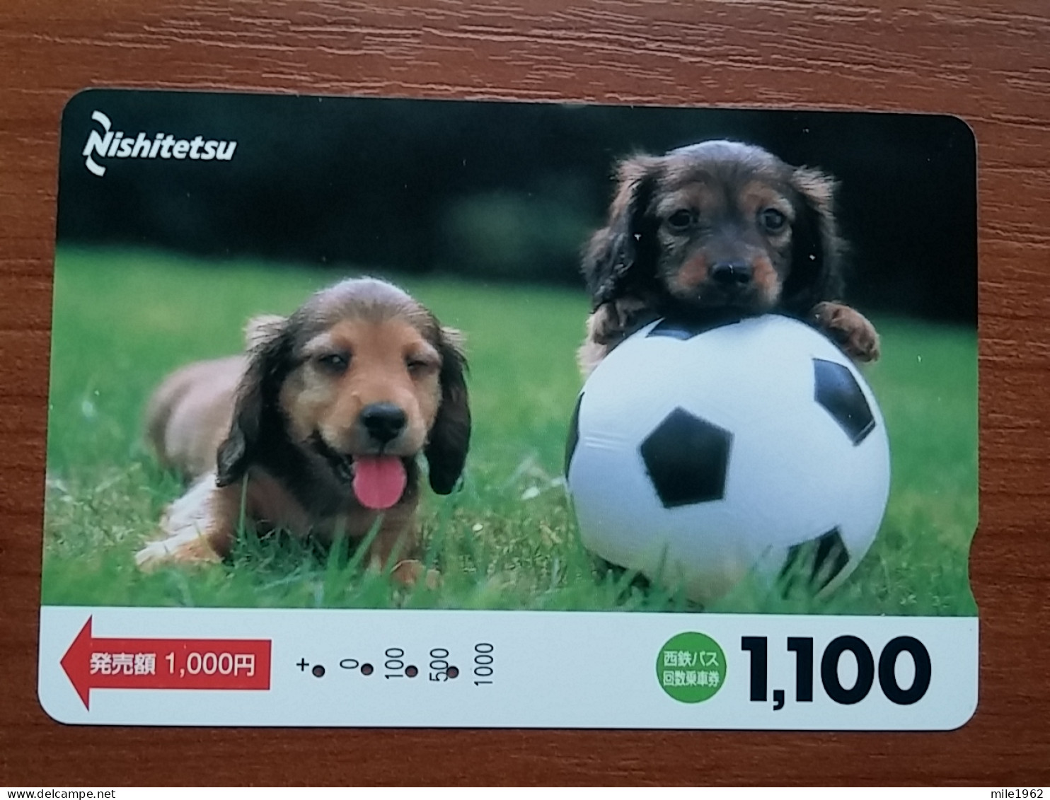 T-400 - JAPAN, Japon, Nipon, Carte Prepayee, Prepaid Card, Dog, Chien,  - Hunde