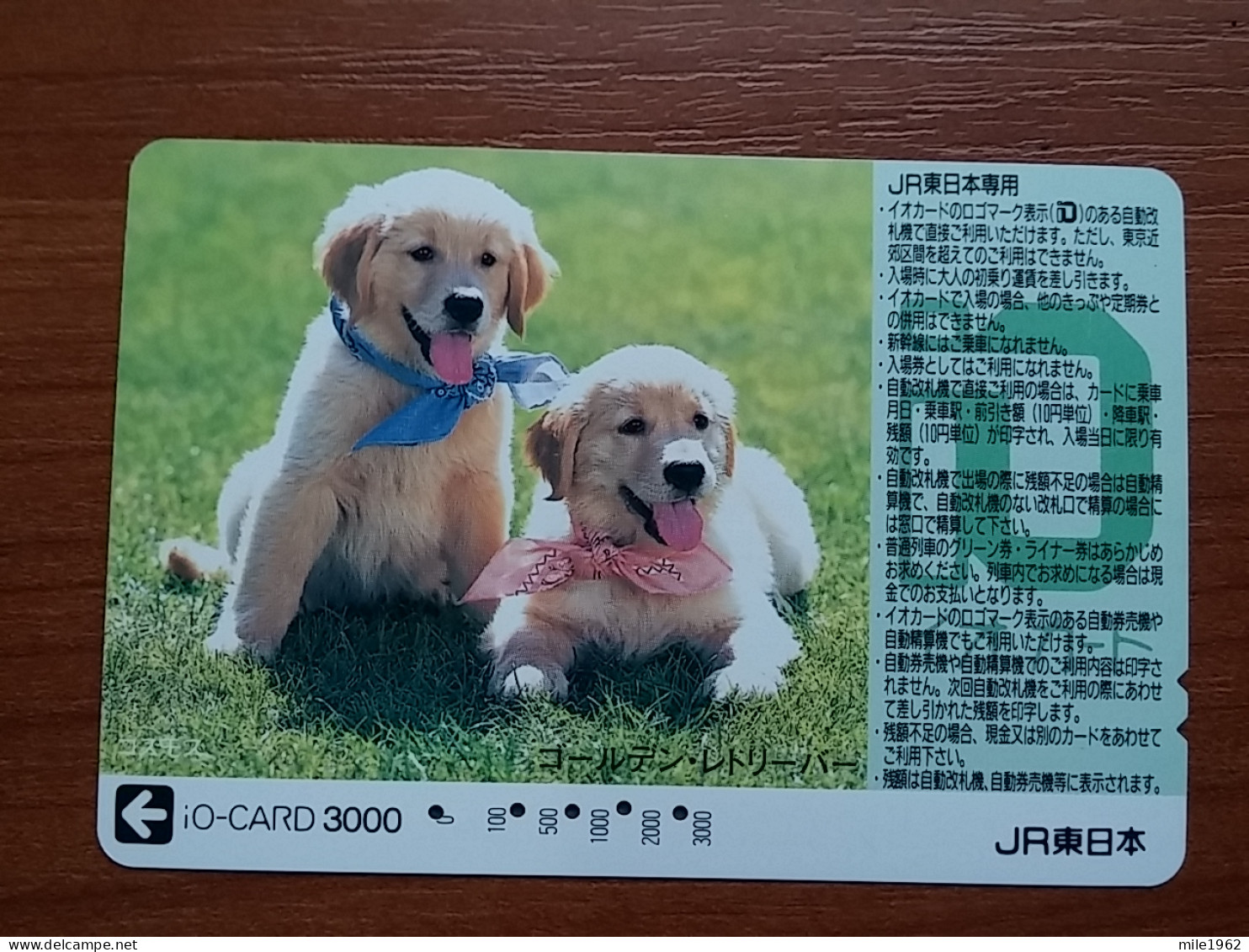 T-400 - JAPAN, Japon, Nipon, Carte Prepayee, Prepaid Card, Dog, Chien,  - Dogs