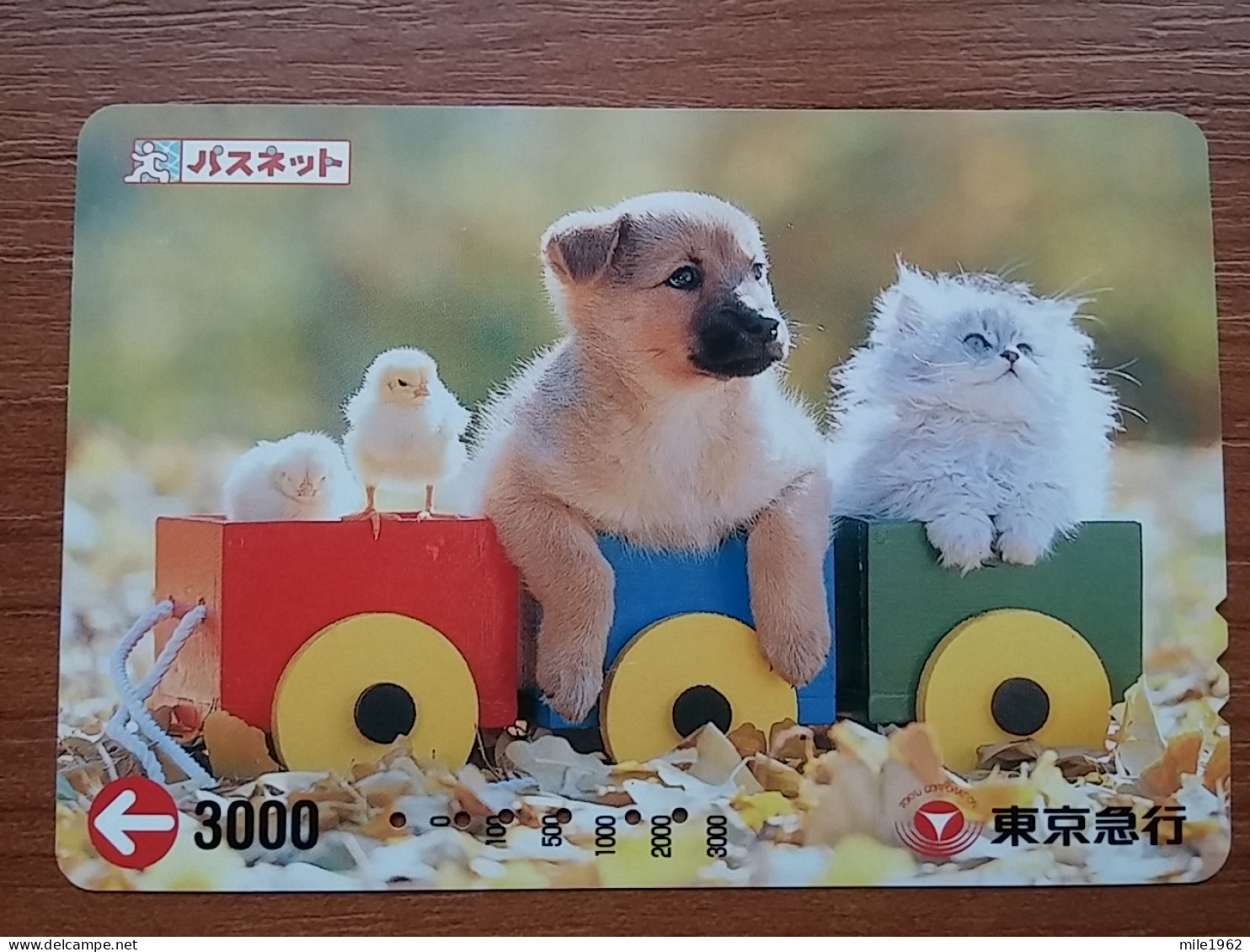 T-400 - JAPAN, Japon, Nipon, Carte Prepayee, Prepaid Card, Dog, Chien, NTT - Honden