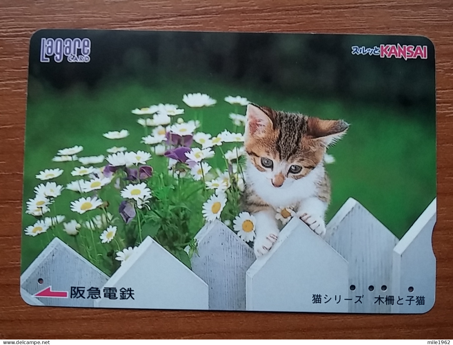 T-401 - JAPAN, Japon, Nipon, Carte Prepayee, Prepaid Card, CAT, CHAT,  - Gatos