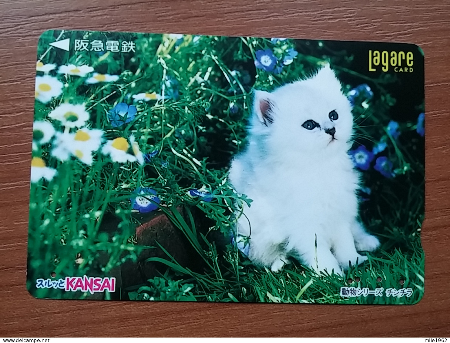 T-401 - JAPAN, Japon, Nipon, Carte Prepayee, Prepaid Card, CAT, CHAT,  - Katzen