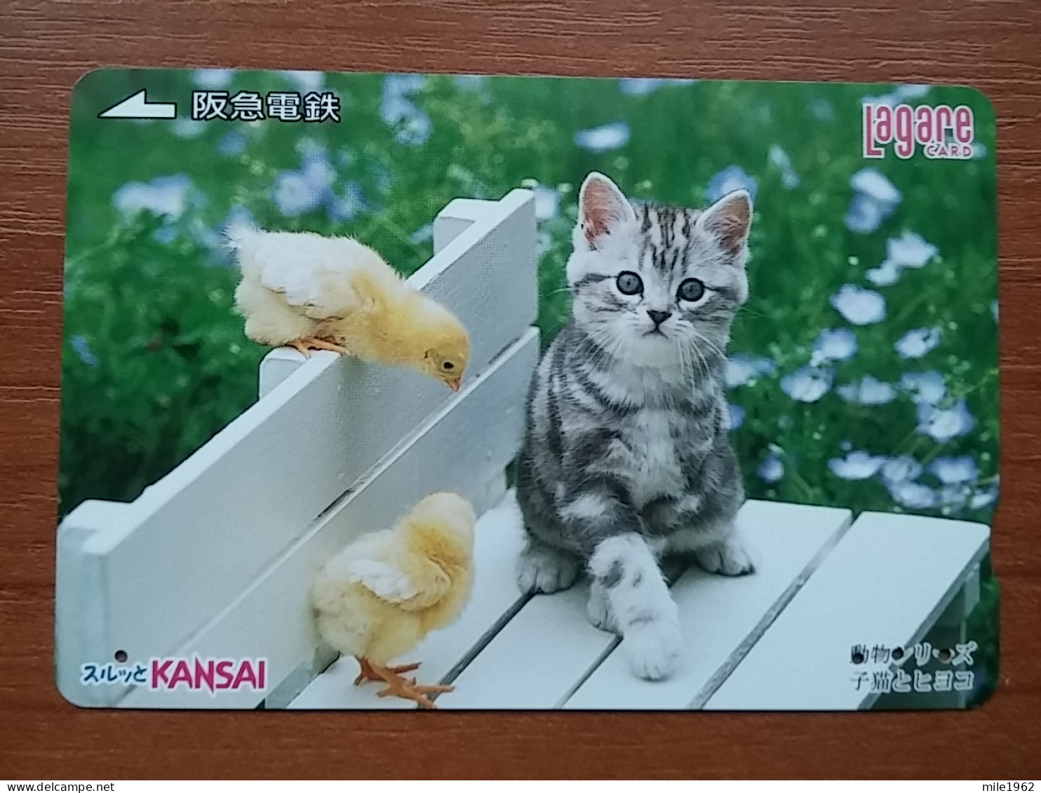 T-401 - JAPAN, Japon, Nipon, Carte Prepayee, Prepaid Card, CAT, CHAT,  - Katzen