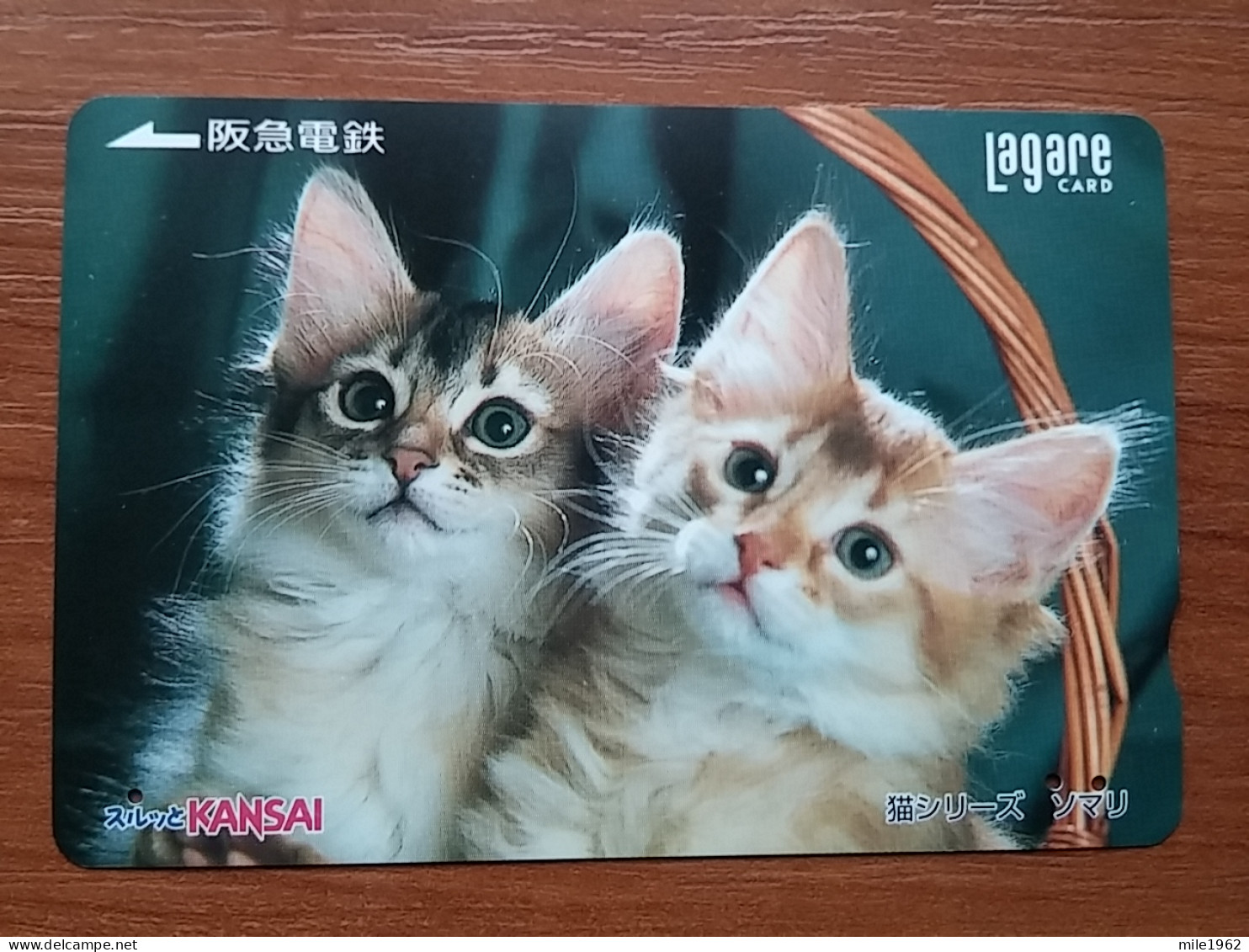 T-401 - JAPAN, Japon, Nipon, Carte Prepayee, Prepaid Card, CAT, CHAT,  - Gatti