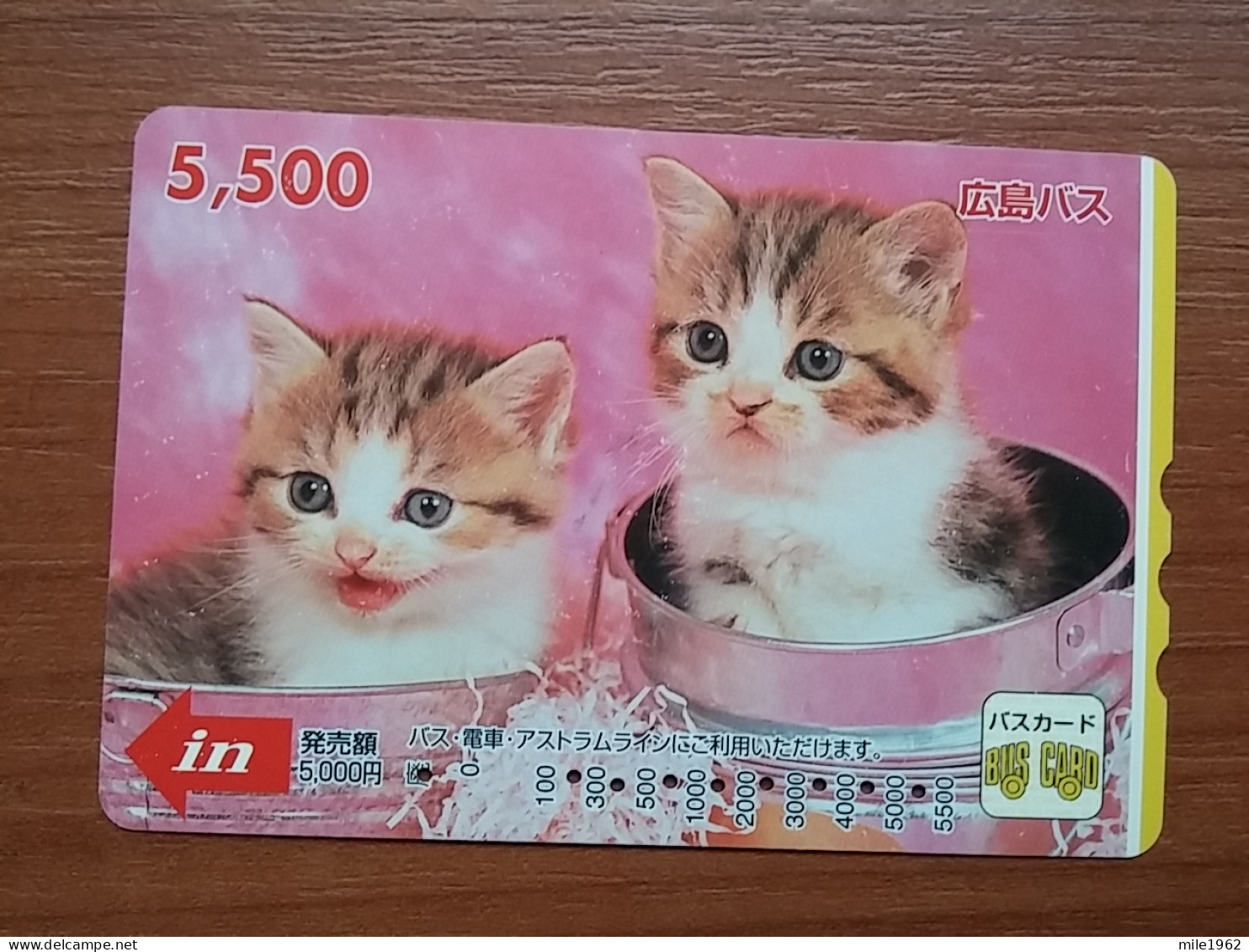 T-402 - JAPAN, Japon, Nipon, Carte Prepayee, Prepaid Card, CAT, CHAT,  - Chats